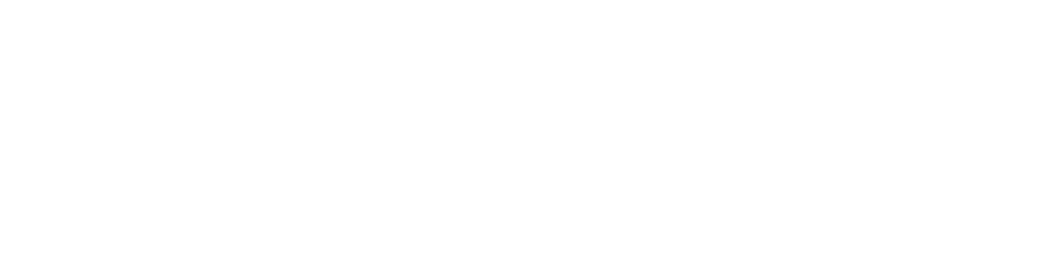 Elevate Aesthetics logo