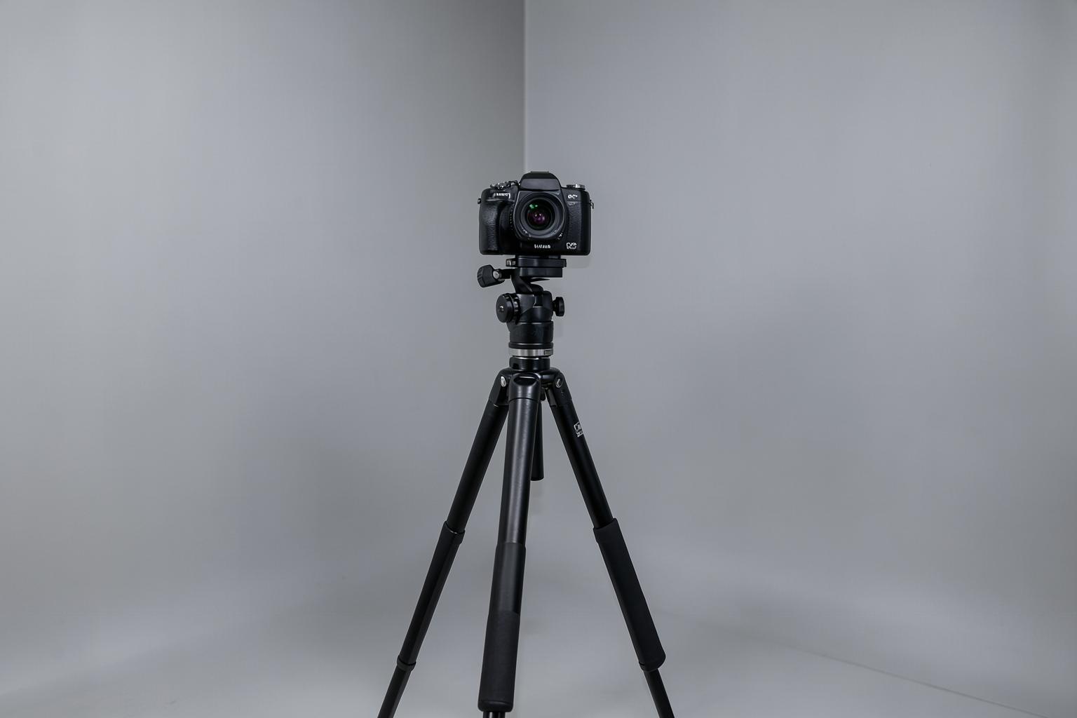 Standardised hair progress photography at Elevate Aesthetics